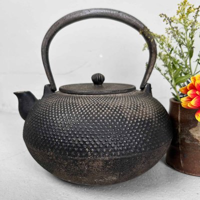 Antique cast iron tea kettle sale
