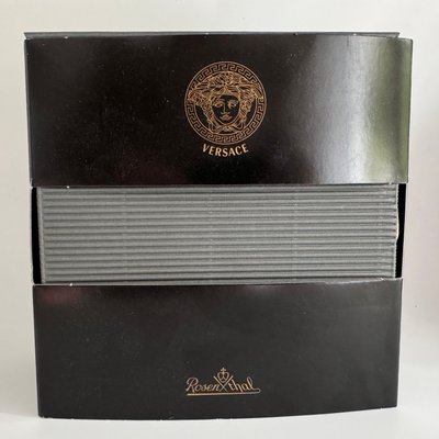 Le Reve De Noel Tea Cup and Saucer by Versace for Rosenthal, 2000