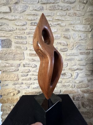 Large Freeform Sculpture, 1960s, Wood on Marble Base for sale at