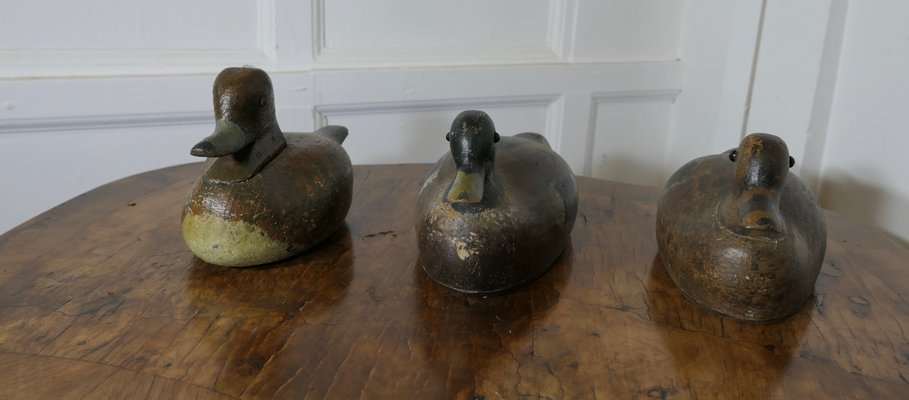 Painted and Carved Decoy Ducks, 1890s-1910s, Set of 3 for sale at