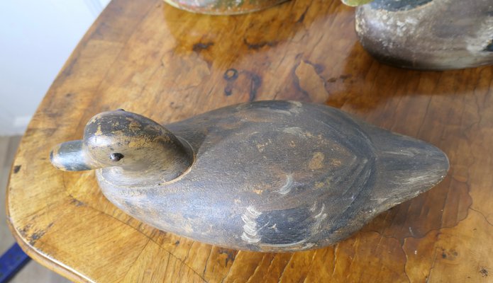 Painted and Carved Decoy Ducks, 1890s-1910s, Set of 3 for sale at