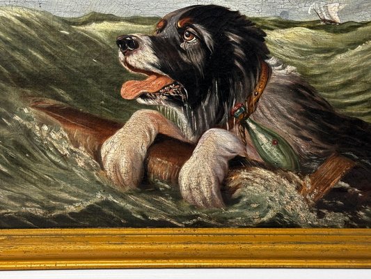 British Artist, Saint Bernard Dog Swamped Shipwrecked Approaching