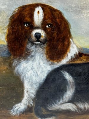 Portrait of King Charles Spaniel Dogs, 19th Century, Oil Painting