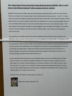 Princess Diana Vogue Arabia in Spring Wearing Minty Green Head