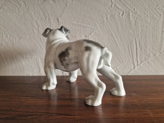 English Bulldog by Fritz Heidenreich for Rosenthal for sale at Pamono