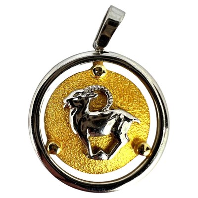 14k Yellow White Gold Zodiac Capricorn Charm Pendant by Kosun