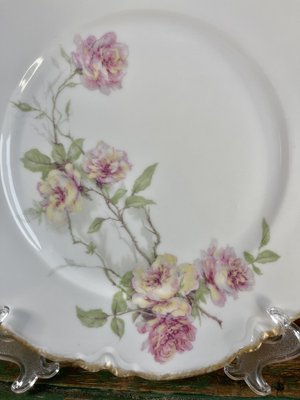 Baltimore Rose Dinner Plates from Haviland Limoges, 1888, Set of 6