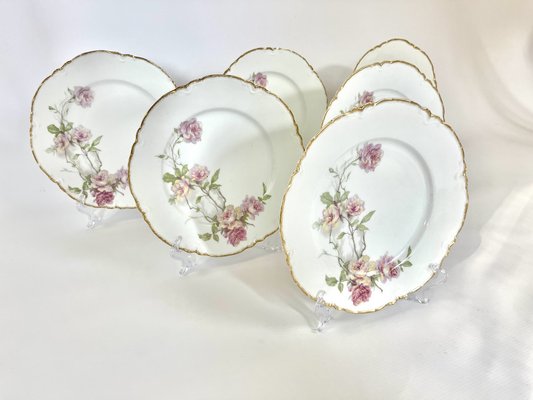 Baltimore Rose Dinner Plates from Haviland Limoges, 1888, Set of 6