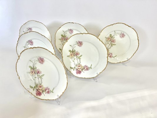 Baltimore Rose Dinner Plates from Haviland Limoges, 1888, Set of 6