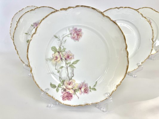 Baltimore Rose Dinner Plates from Haviland Limoges, 1888, Set of 6
