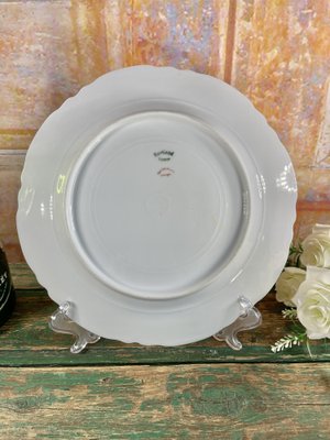 Baltimore Rose Dinner Plates from Haviland Limoges, 1888, Set of 6