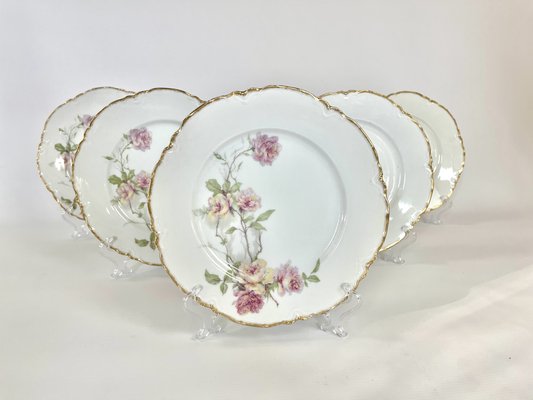 Baltimore Rose Dinner Plates from Haviland Limoges, 1888, Set of 6