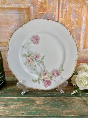 Baltimore Rose Dinner Plates from Haviland Limoges, 1888, Set of 6