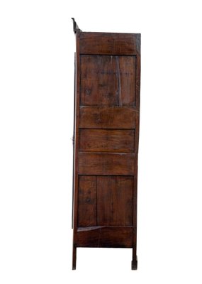 glückskastanie giftig katzen Pachira aquatica | 110cm | Online kaufen main image 0