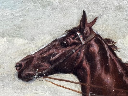 Alfred Charles Havell, Victor Wild Racehorse, Winner of Coronation