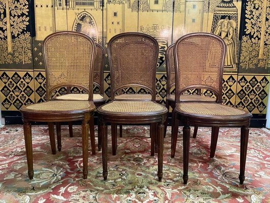 Louis Xvi Style Cane Dining Chairs, Set of for sale at Pamono
