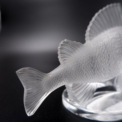 Frosted Crystal Perch Fish Sculpture by Lalique, France for sale