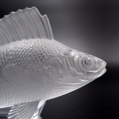 Frosted Crystal Perch Fish Sculpture by Lalique, France for sale