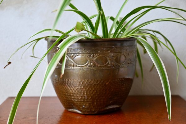 hang plant hook Minimalist Wall Plant Hook main image 1