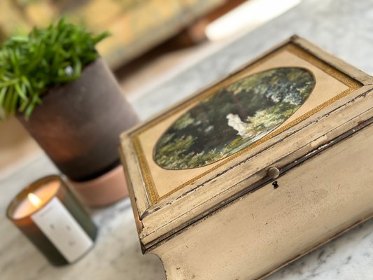 Antique French Tin Box, 1890 for sale at Pamono