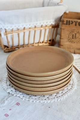 Vintage Stoneware Dinner Plates, 1980s, Set of for sale at Pamono