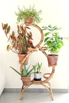 Vintage Bamboo Plant Vase Stand / Holder, Italy, 1960s for sale at