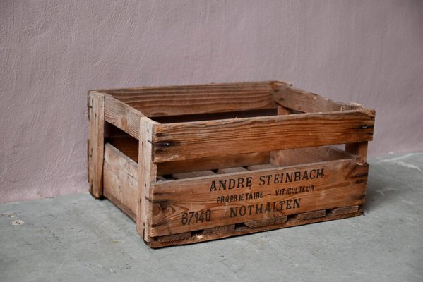 Weinkiste von André Steinbach, 1950er bei Pamono kaufen