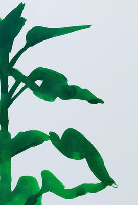 Sunflower, 1957 Poster by Ellsworth Kelly | King & McGaw