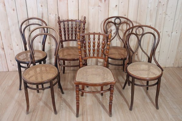Vienna Restauro Sedie Thonet Italfondini Riparazione Sedie Paglia
