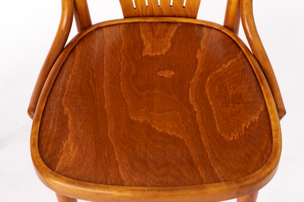 70s ポーランドZPM Radomsko社製 コスガ　ベントウッドチェア Mid-Century ZPM Radomsko Bentwood Chairs, Set of 3, 1950s — Honey