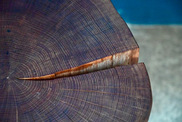 Brutalist Primitive Tripod Stool in Thick Wood for sale at Pamono