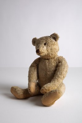 Vintage Teddy from Steiff, 1920s for sale at Pamono
