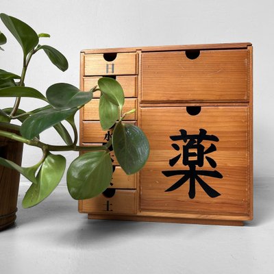 Shōwa Era Medizinschrank aus Holz, Japan, 1970er bei Pamono kaufen