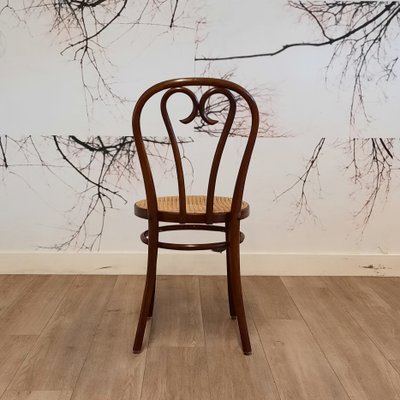 Romanian No.16 Bentwood Chairs by Michael Thonet, 1970s, Set of 4