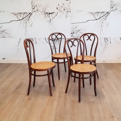 Romanian No.16 Bentwood Chairs by Michael Thonet, 1970s, Set of 4