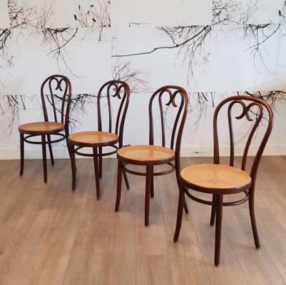 Romanian No.16 Bentwood Chairs by Michael Thonet, 1970s, Set of 4