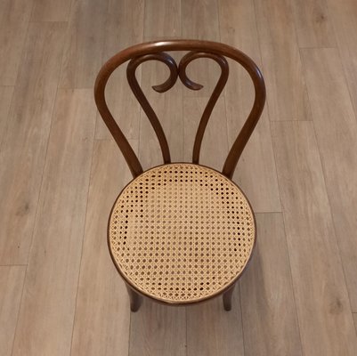 Romanian No.16 Bentwood Chairs by Michael Thonet, 1970s, Set of 4