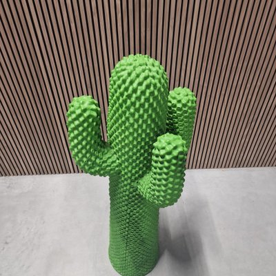 calathea lancifolia rattlesnake plant Calathea lancifolia - Rattlesnake Plant