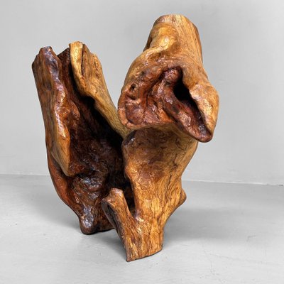Japanese Tsuge Burl Wood Sculpture, 1920s for sale at Pamono