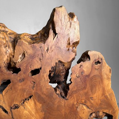 Japanese Keyaki Zelkova Root Wood Decoration, 1900s for sale at Pamono