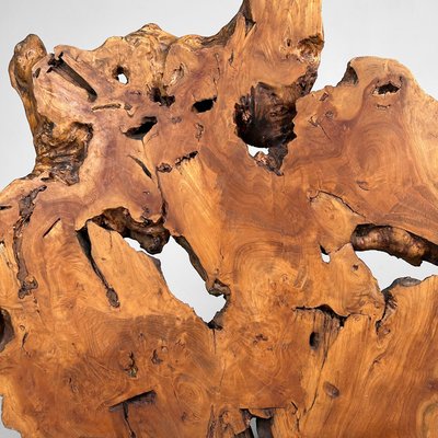 Japanese Keyaki Zelkova Root Wood Decoration, 1900s for sale at Pamono