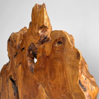 Japanese Keyaki Zelkova Root Wood Decoration, 1900s for sale at Pamono
