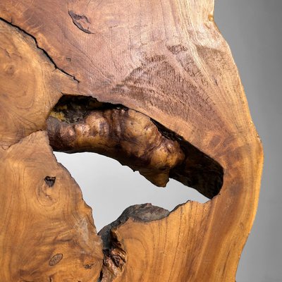Japanese Keyaki Zelkova Root Wood Decoration, 1900s for sale at Pamono
