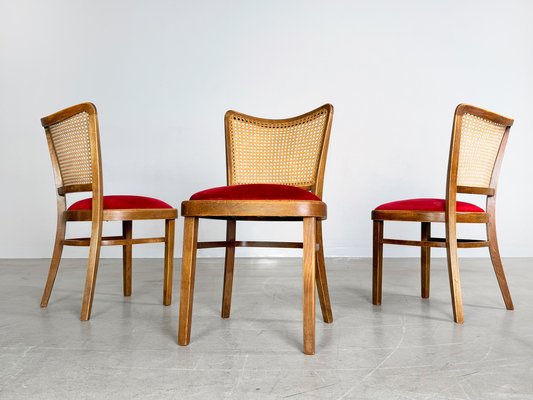 A811/1 Chairs in Corduroy by Josef Hoffmann for Thonet, 1951, Set