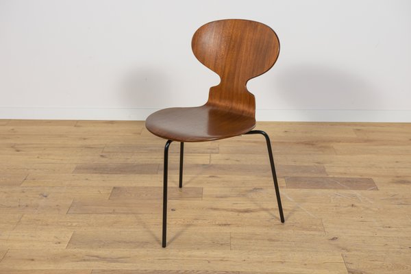 Model 3101 Ant Chair in Teak by Arne Jacobsen for Fritz Hansen