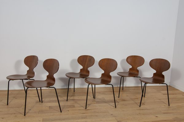 Sedie Ant 3101 in teak di Arne Jacobsen per Fritz Hansen