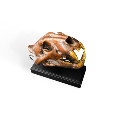 INDIANA JONES E Il Regno Del Teschio Di Cristallo (DVD, 2008) EUR 3,67 - Foto 3