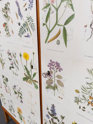 Flora Cabinet by Josef Frank, Sweden, 1950s for sale at Pamono