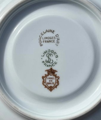 Large Tea Cup with 2 Handles The Queen and Saucer from Limoges