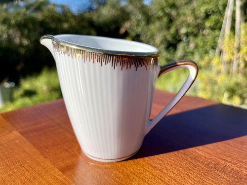 Winterling Marktleuthen Bavaria Fine Porcelain Coffee Service with